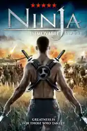 Ninja Immovable Heart 2014 BluRay 300Mb Hindi Dual Audio 480p poster | Bolly4u Official