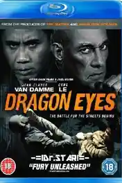 Dragon Eyes 2012 BluRay Hindi Dual Audio 720p 480p Download poster | Bolly4u Official