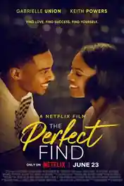 The Perfect Find  2023 WEB-DL Hindi Dual Audio ORG Full Movie Download 1080p | 720p | 480p poster | Bolly4u Official