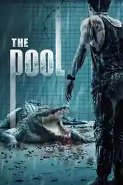 The Pool 2018 BluRay Hindi Dual Audio Full Movie Download 720p | 480p poster | Bolly4u Official