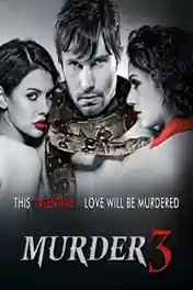 Murder 3 2013 BluRay 350MB Full Hindi Movie Download 480p poster | Bolly4u Official
