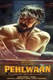 Pehlwaan 2019 HDTV 450MB Hindi ORG 480p poster | Bolly4u Official