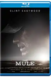 The Mule 2018 BRRip 1GB English 720p ESub poster | Bolly4u Official