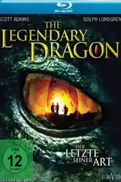 Legendary 2013 BluRay 300MB Hindi Dual Audio 480p poster | Bolly4u Official