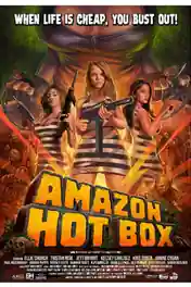 Amazon Hot Box 2018 HDRip UNRATED English x264 poster | Bolly4u Official