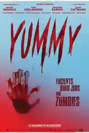 Yummy 2019 BluRay Hindi Dual Audio Full Movie Download 720p | 480p poster | Bolly4u Official