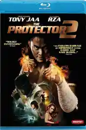 The Protector 2 2013 BluRay 300Mb Hindi Dual Audio 480p poster | Bolly4u Official