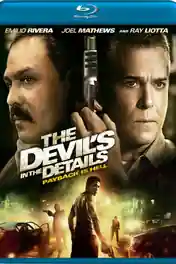 The Devils In The Details 2013 BRRip 300Mb Hindi Dual Audio 480p poster | Bolly4u Official