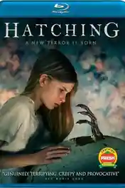 Hatching 2022 BluRay Hindi Dual Audio ORG Full Movie Download 1080p | 720p | 480p poster | Bolly4u Official