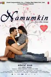 Namumkin Tere Bin Jeena 2020 WEB-DL 280Mb Hindi 480p poster | Bolly4u Official