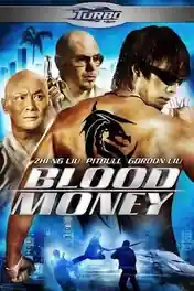 Blood Money 2012 BluRay Hindi Dual Audio Full Movie Download 720p | 480p poster | Bolly4u Official