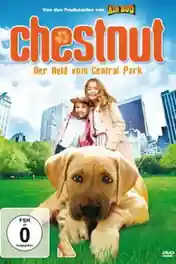 Chestnut Hero of Central Park 2004 HDTV 1.1GB Hindi Dual Audio 720p poster | Bolly4u Official
