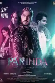 Parinda Paar Geyaa 2023 WEB-DL Punjabi Full Movie Download 1080p | 720p | 480p poster | Bolly4u Official