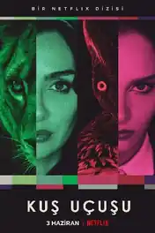 As The Crow Flies 2022 WEB-DL Hindi Dual Audio 720p 480p Download poster | Bolly4u Official