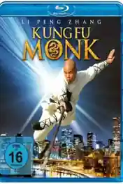 Last Kung Fu Monk 2010 BluRay 280MB Hindi Dual Audio 480p poster | Bolly4u Official