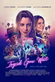Ingrid Goes West 2017 BRRip 850Mb Hindi Dual Audio 720p poster | Bolly4u Official