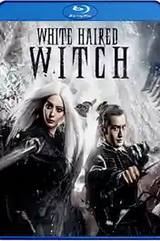 The White Haired Witch Of Lunar Kingdom 2014 BluRay 300MB Hindi Dual Audio 480p poster | Bolly4u Official