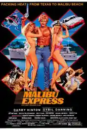 Malibu Express 1985 BRRip 300MB Hindi Dual Audio 480p poster | Bolly4u Official