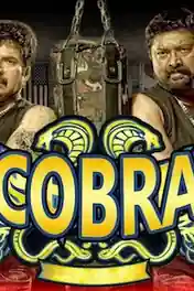 Cobra 2019 HDRip 900Mb Hindi Dubbed 720p poster | Bolly4u Official