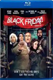 Black Friday 2021 BluRay Hindi Dual Audio Full Movie Download 720p | 480p poster | Bolly4u Official