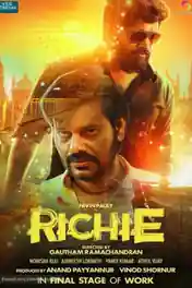 Richie 2017 HDRip 350Mb UNCUT Hindi Dual Audio 480p poster | Bolly4u Official