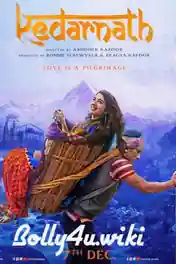 Kedarnath 2018 WEB-DL 800Mb Full Hindi Movie Download 720p poster | Bolly4u Official