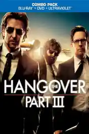 The Hangover Part III 2013 BluRay 300MB Hindi Dual Audio 480p ESub poster | Bolly4u Official