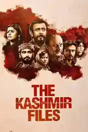 The Kashmir Files 2022 WEB-DL Full Hindi Movie 720p 480p Download poster | Bolly4u Official