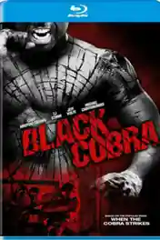 Black Cobra 2012 BluRay 800MB Hindi Dual Audio 720p poster | Bolly4u Official