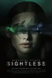 Sightless 2020 WEB-DL 700Mb Hindi Dual Audio ORG 720p poster | Bolly4u Official