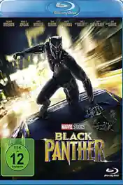 Black Panther 2018 BluRay 400MB Hindi Dubbed Dual Audio ORG 480p ESub poster | Bolly4u Official