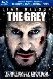 The Grey 2011 BRRip 900Mb Hindi Dual Audio 720p ESub poster | Bolly4u Official