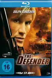 The Defender 2004 BluRay Hindi Dubbed Dual Audio 720p ESub poster | Bolly4u Official