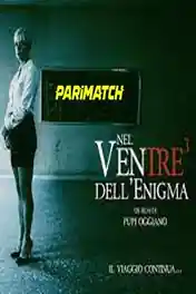 Nel ventre dell enigma 2021 WEB-Rip Hindi (Voice Over) Dual Audio 720p poster | Bolly4u Official