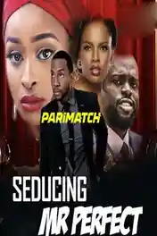 Seducing Mr Perfect 2019 WEB-HD Hindi (Voice Over) Dual Audio 720p poster | Bolly4u Official