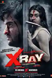 X Ray The Inner Image 2019 WEB-DL 650Mb Hindi Movie Download 720p poster | Bolly4u Official