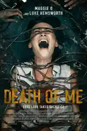 Death of Me 2021 WEB-DL Hindi Dual Audio ORG Full Movie Download 1080p | 720p | 480p poster | Bolly4u Official