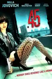 .45 (2006) DVDRip 300MB Hindi Dual Audio 480p poster | Bolly4u Official