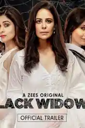Black Widows 2020 WEB-DL 2.7GB Hindi S01 720p Download poster | Bolly4u Official