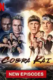 Cobra Kai 2021 WEB-DL 1.1Gb Hindi Dual Audio S04 Download 480p poster | Bolly4u Official