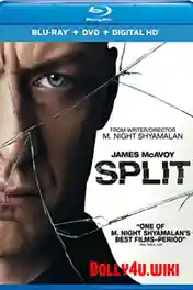 Split 2016 BluRay 400Mb Hindi Dual Audio ORG 480p ESub poster | Bolly4u Official