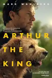 Arthur The King 2024 WEB-DL Hindi Dual Audio ORG Full Movie Download 1080p | 720p | 480p poster | Bolly4u Official