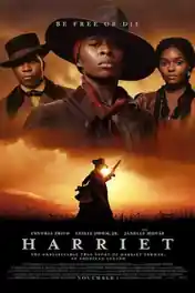 Harriet 2019 WEB-DL 300Mb English 480p ESub poster | Bolly4u Official