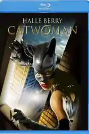Catwoman 2004 BRRip 800MB Hindi Dual Audio 720p poster | Bolly4u Official