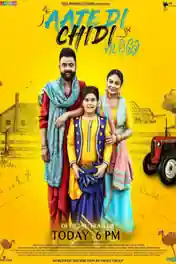 Aate Di Chidi 2018 SDTV Full Punjabi Movie Download 720p poster | Bolly4u Official