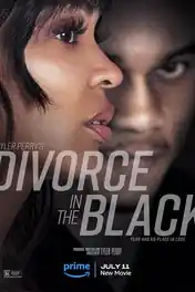 Tyler Perrys Divorce In The Black 2024 WEB-DL Hindi Dual Audio ORG Full Movie Download 1080p | 720p | 480p poster | Bolly4u Official