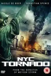 NYC Tornado Terror 2008 BluRay 300Mb Hindi Dual Audio 480p poster | Bolly4u Official