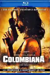 Colombiana 2011 BRRip 1GB Hindi Dual Audio 720p poster | Bolly4u Official