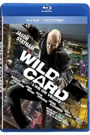 Wild Card 2015 BluRay Hindi Dual Audio 720p 480p Download poster | Bolly4u Official