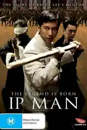The Legend Is Born Ip Man 2010 BRRip 300MB Hindi Dual Audio 480p poster | Bolly4u Official
